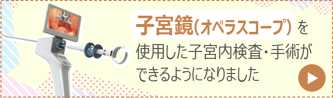 子宮鏡手術